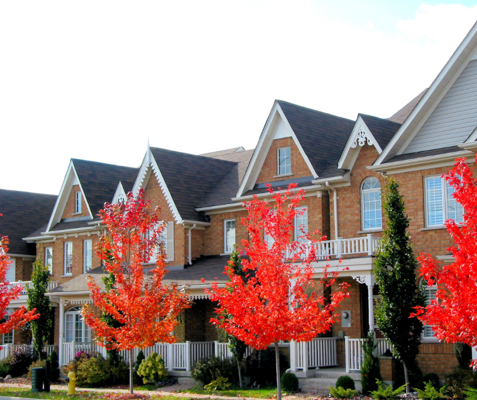 Idyllic row of townhomes on a treelined street